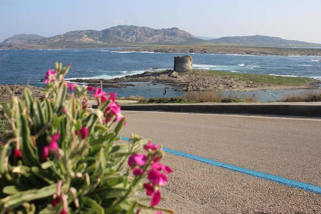 Lina Hotel Stintino Bagian luar foto